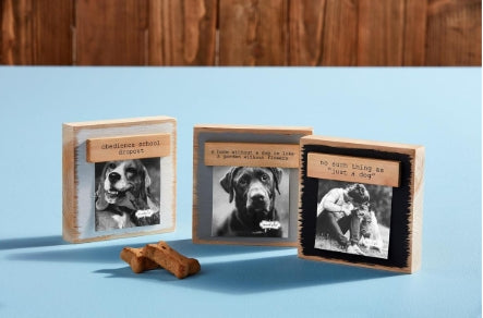 Pet Magnet Block Frame: