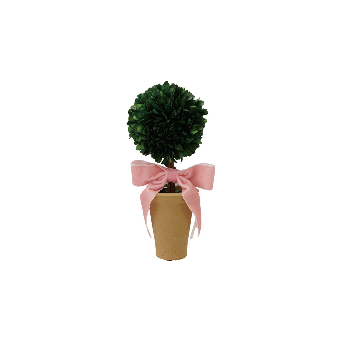 Dried Boxwood in Terracotta Pot Velvet Ribbon - Pink