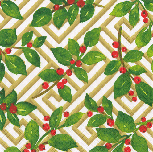 Paper Cocktail Napkins