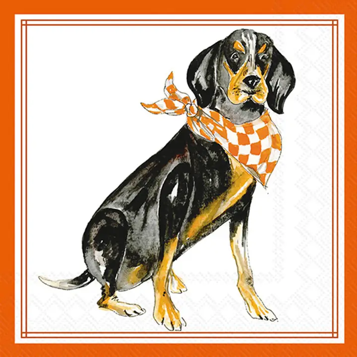 Paper Cocktail Napkins - TN Smokey