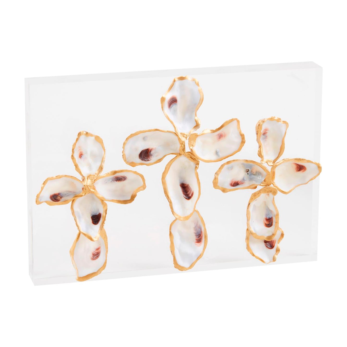 Acrylic Oyster Shell Plaque