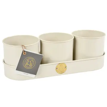 Herb Pots in Tray