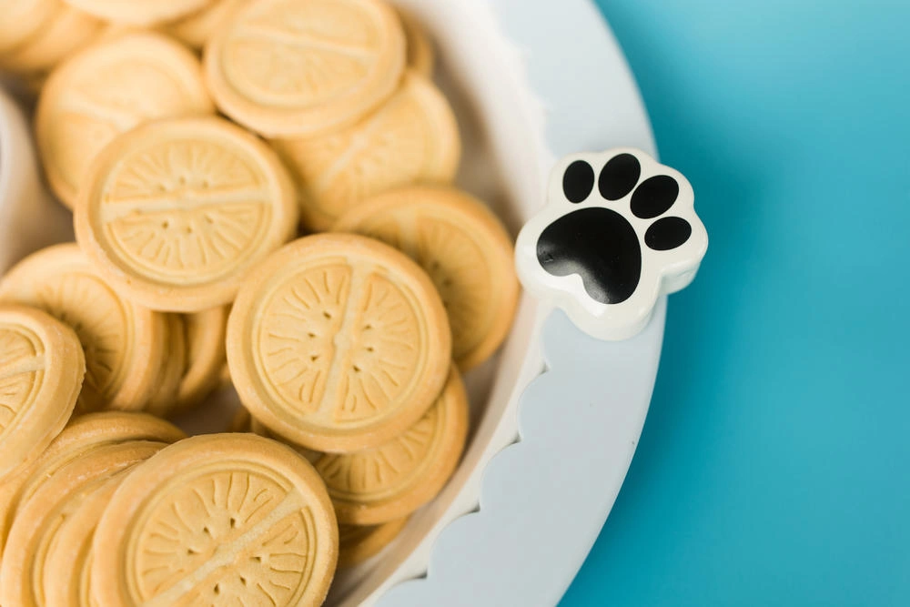 Nora Fleming Mini - Paw-ty time