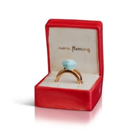 Nora Fleming Mini- Put A Ring On It