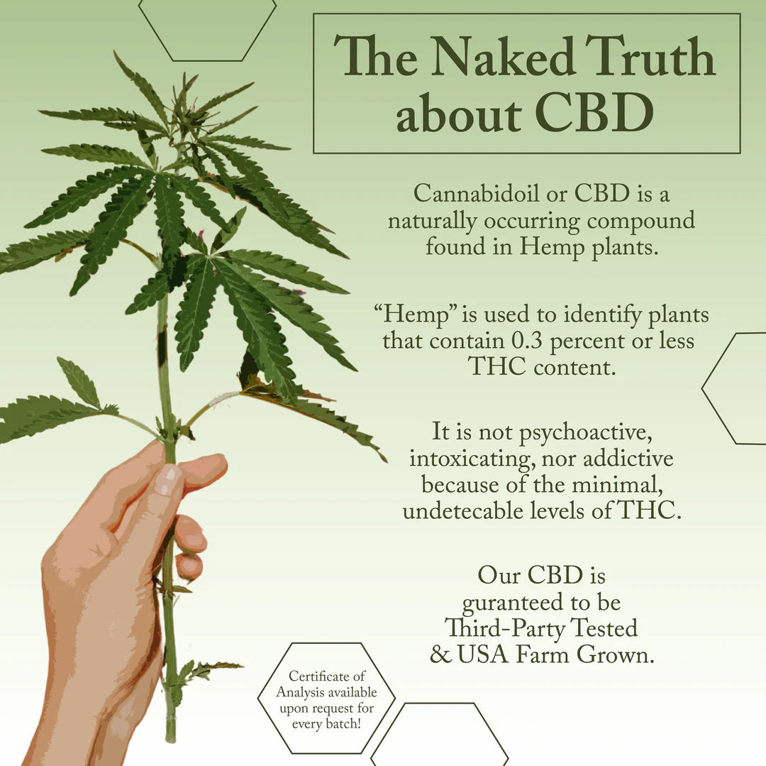 2.5oz CBD Broad Spectrum Hand & Body Lotion