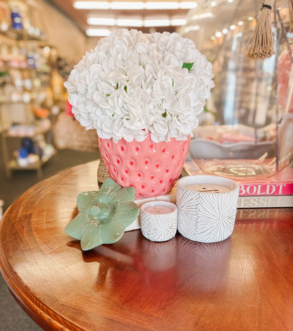 Strawberry Container