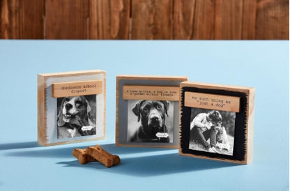 Pet Magnet Block Frame: