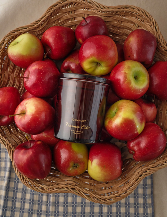 Aromatique: 10oz Foundry Candle in Cinnamon Cider