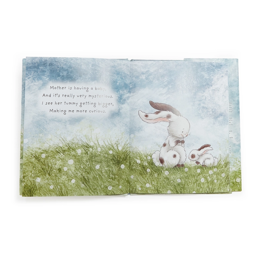 Bunnies By the Bay: Who Will Our New Baby Be? Story Book