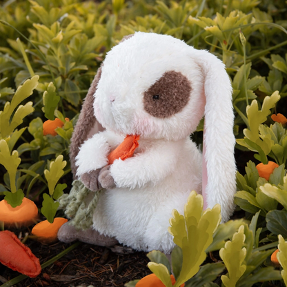 Bunnies By the Bay: Herby Hare Bunny