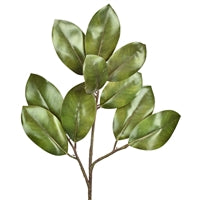 41.5" Magnolia Leaves Spray