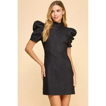 Fitted Hidden Rear Zipper Denim Dress