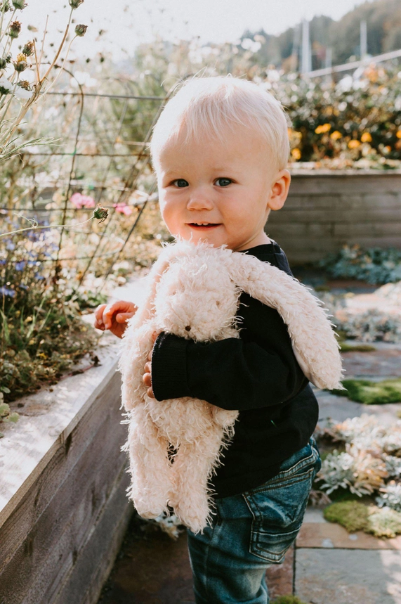 Bunnies By the Bay: Harey the Bunny