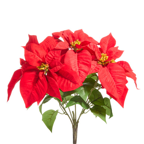 16" Red Poinsettia Bush