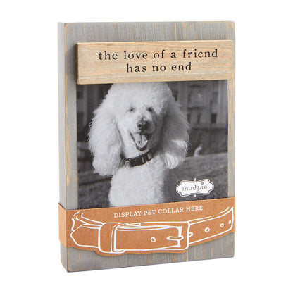 Pet Collar Keepsake Frame