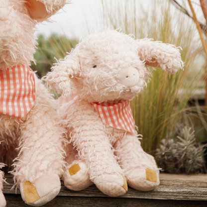 Bunnies By the Bay: Hammie the Pig