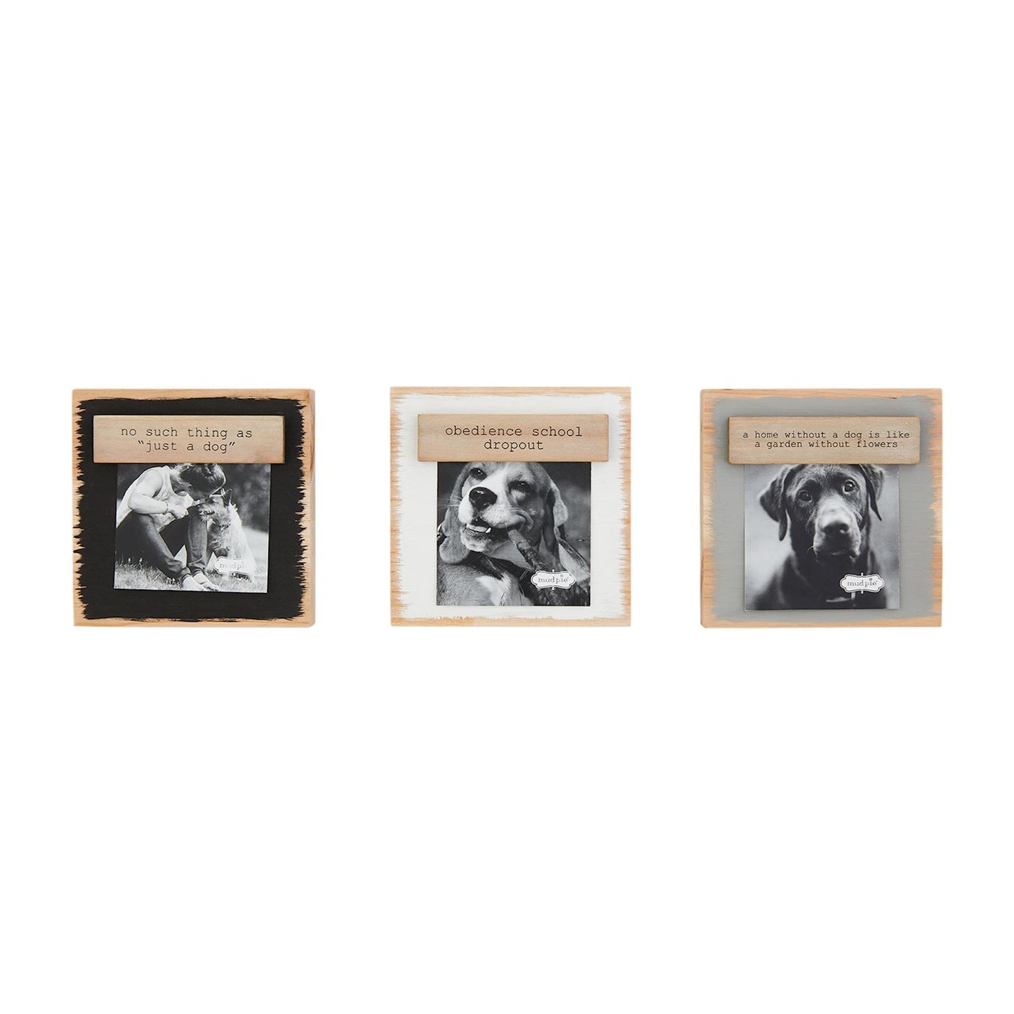 Pet Magnet Block Frame: