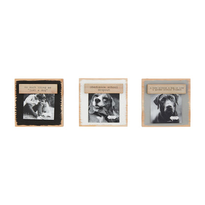 Pet Magnet Block Frame:
