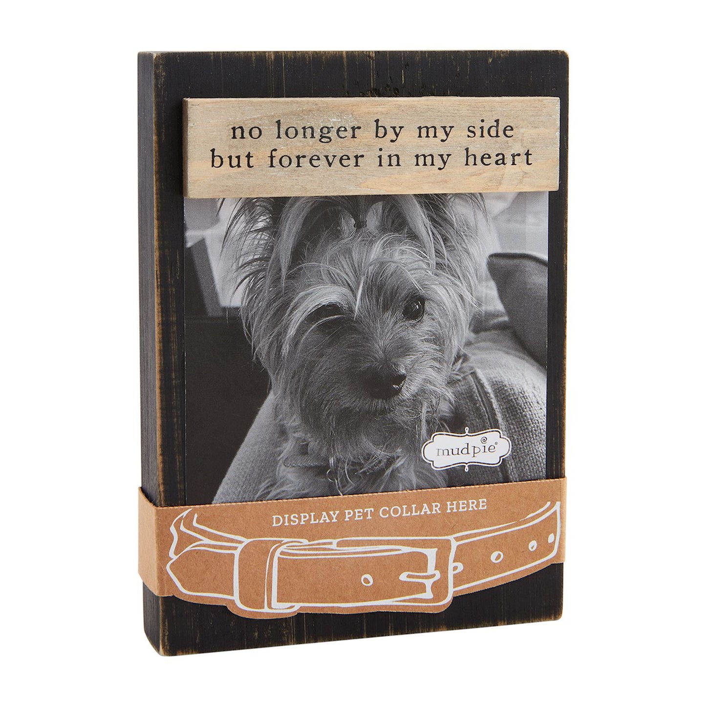 Pet Collar Keepsake Frame