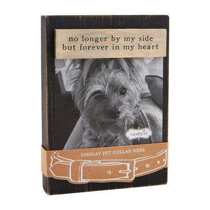 Pet Collar Keepsake Frame
